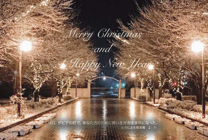 クリスマスカード2017